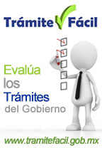 Descripcion de la Imagen
